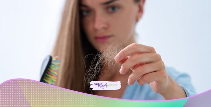 Conoce los alimentos que previenen la caída del cabello