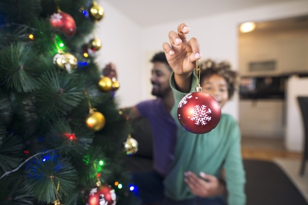 ¿Cómo se celebra la Navidad?