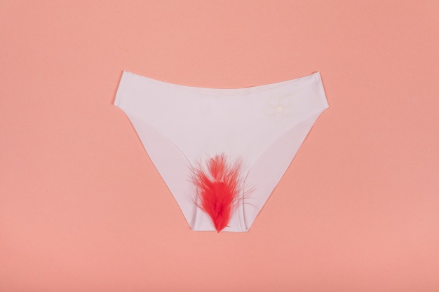 ¿Por qué la Ley de Menstruación Digna nos importa a todas?