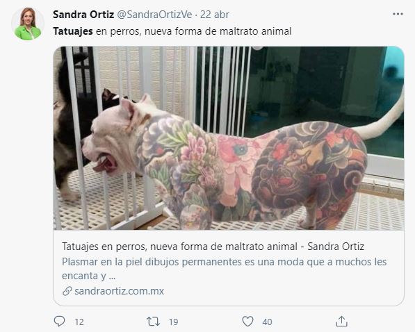 Sandra Ortiz pide frenar maltrato animal