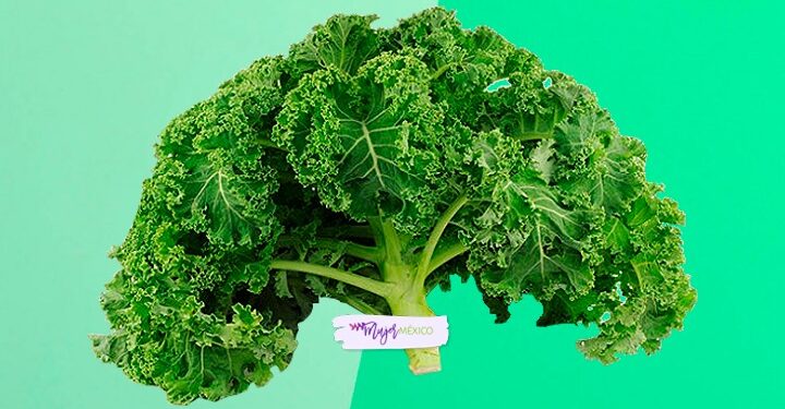 Kale. Qué es, por qué es famoso y cuáles son sus beneficios