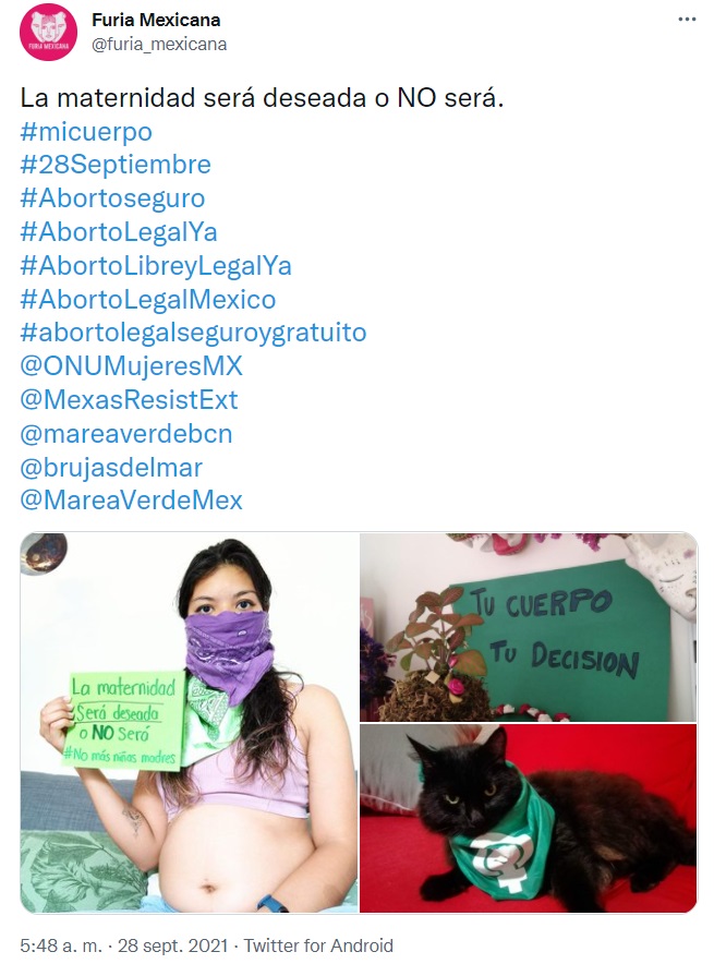 El feminismo y la lucha por la despenalización del aborto en México