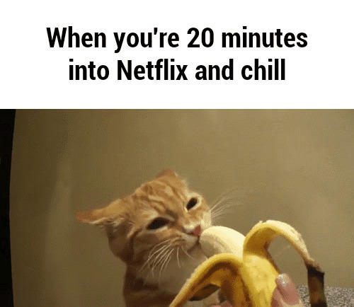 Memes sobre Netflix and Chill