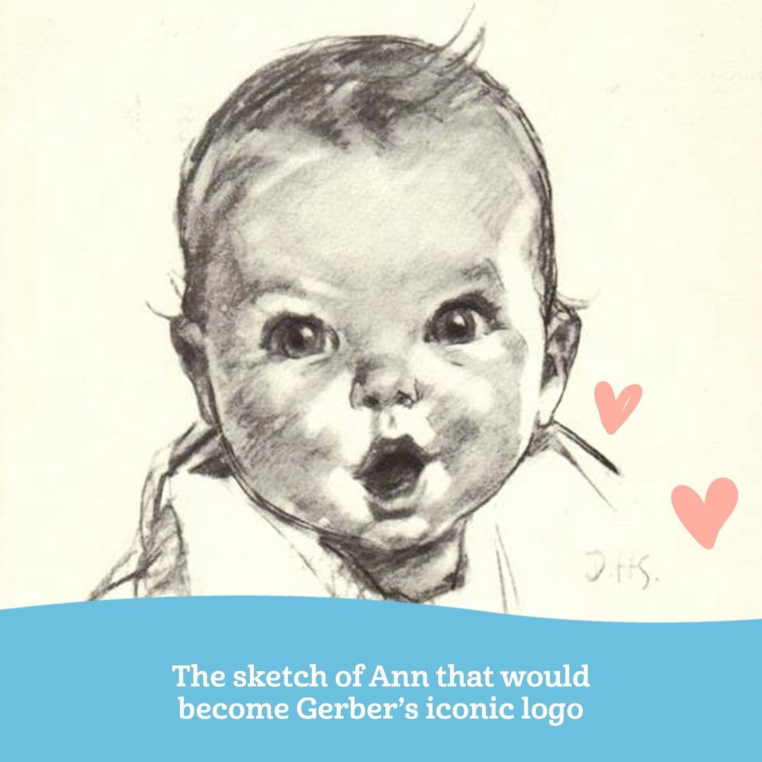 Ann Turner Cook. La vida de la famosa 'bebé Gerber'