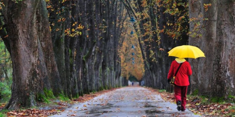 Soñar con lluvia. Significado e interpretaciones