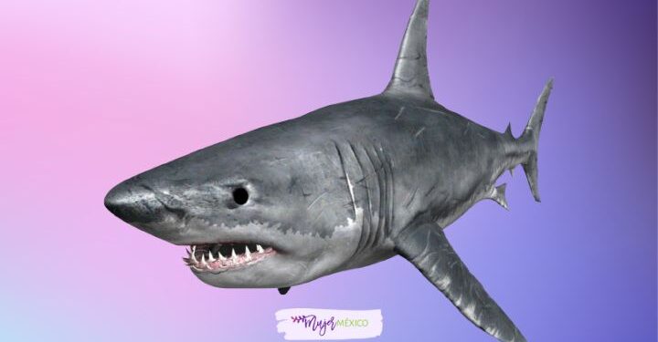 Significado de soñar con tiburones: estas son todas las interpretaciones
