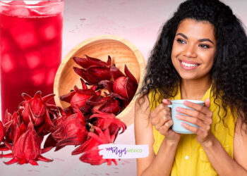 Agua de jamaica. Propiedades, beneficios y valor nutricional