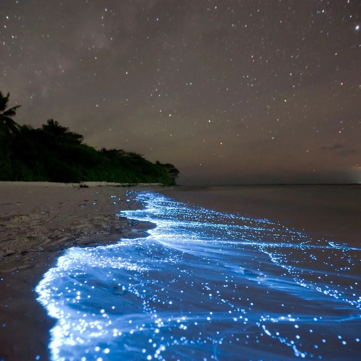 Destinos románticos: Holbox