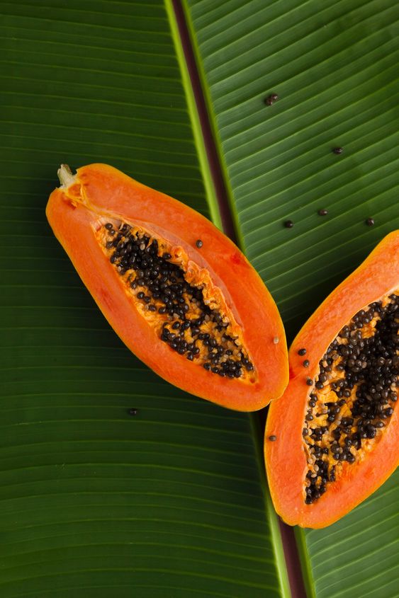 papaya beneficios