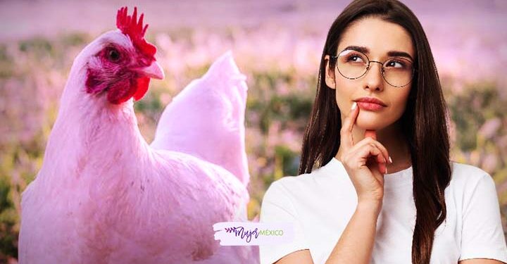 Soñar con gallinas. Significado e interpretaciones