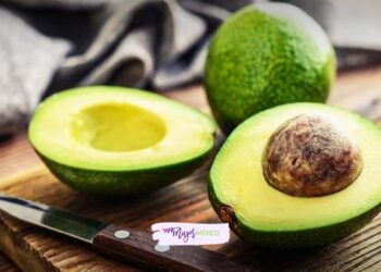 Semilla de aguacate. ¿Cuáles son sus usos y beneficios?