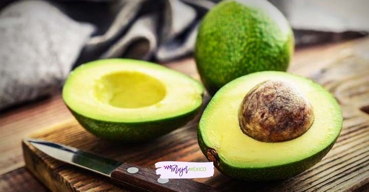 Semilla de aguacate. ¿Cuáles son sus usos y beneficios?