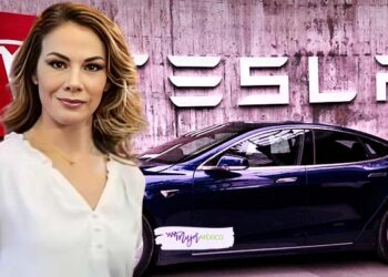 ¿Quién es Teresa Gutiérrez Smith, CEO de Tesla en México?