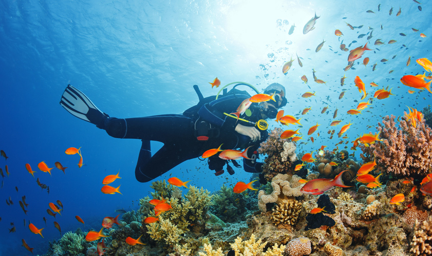 ¿Cuáles son los beneficios de practicar buceo?  