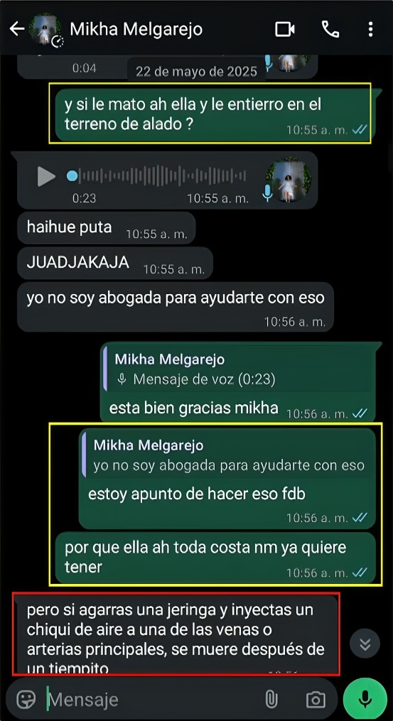 Filtran conversaciones comprometedoras de novio de Fernanda Benítez