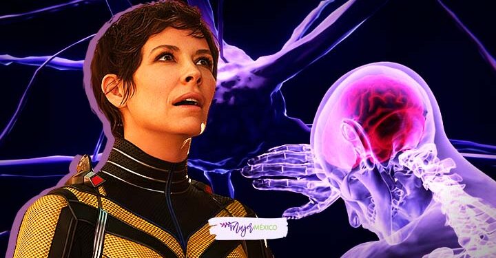 Evangeline Lilly confirma daño cerebral tars accidente