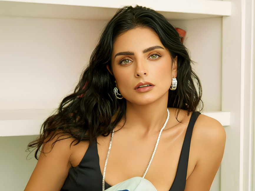 ¿Quiénes han sido las parejas de Aislinn Derbez?